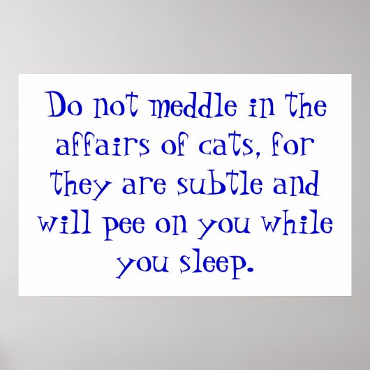 Poster Les affaires des chats (Devant)