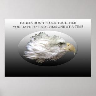 Poster Les aigles ne volent pas ensemble