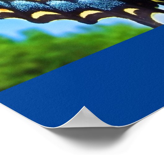 Poster Les ailes de l'amour (Coin)