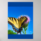 Poster Les ailes de l'amour (Devant)