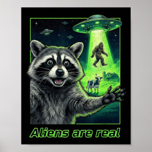 Poster Les aliens sont réels raton laveur selfie ovni big