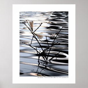 Poster Les amants - amants de Les