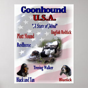 Poster Les Amateurs de Coonhound