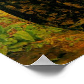 Poster Les amateurs de Huguenot à Saint-Bartholonew (Coin)