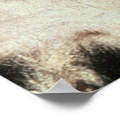 Poster Les Ambassadeurs, 1533 (Coin)