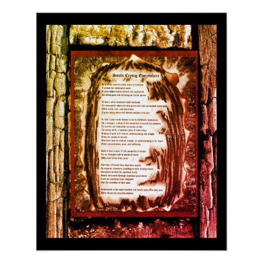 Poster Les Âmes Pleurent Partout (Devant)