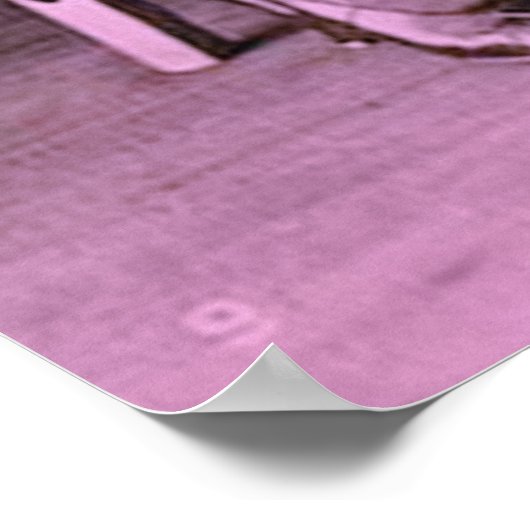 Poster Les amis de la dame (Coin)