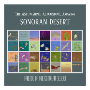 Poster Les amis du désert de Sonoran