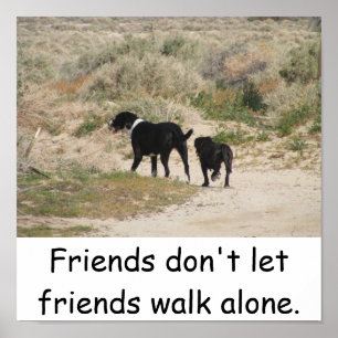 Poster Les amis ne laissent pas leurs amis marcher seuls