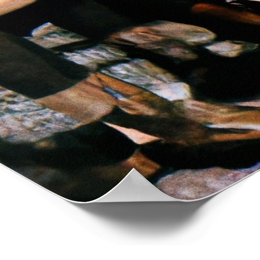 Poster Les amis par le feu (Coin)