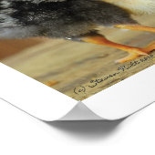 Poster Les Amis S'Accrochent - Accrochent Les Petits Enfa (Coin)