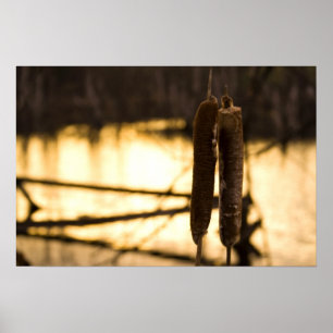 Poster Les amoureux