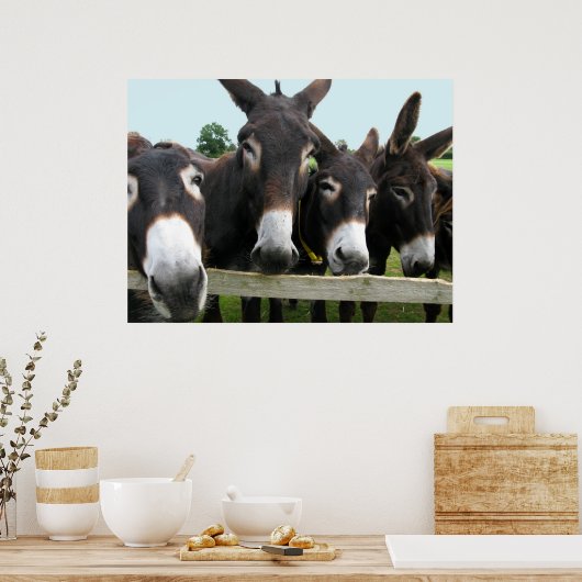 Poster Les ânes ! (Cuisine)