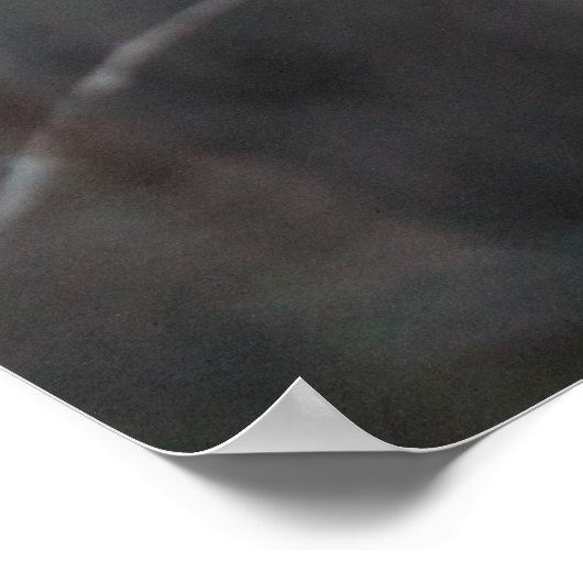 Poster Les ânes (Coin)