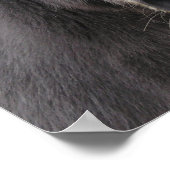 Poster "Les ânes font de superbes Santas !" (Coin)