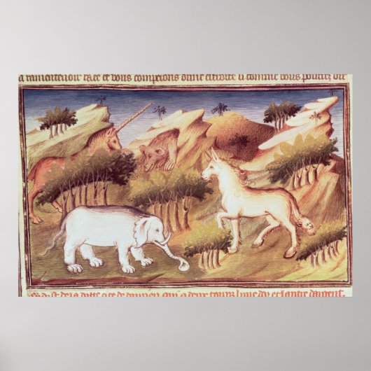 Poster Les animaux mythiques dans le désert (Devant)
