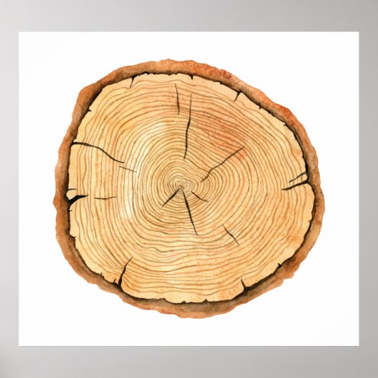 Poster Les anneaux de la nature : Triomphe de la texture  (Devant)