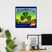 Poster Les années 1930 étiquette  Shamrock Navel Oranges (Bureau à domicile)
