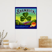 Poster Les années 1930 étiquette  Shamrock Navel Oranges (Cuisine)