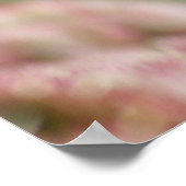 Poster Les antids de prière (Coin)