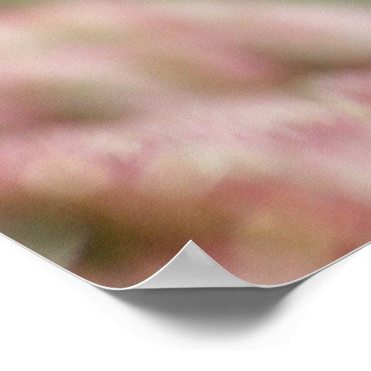 Poster Les antids de prière (Coin)