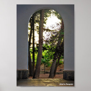 Poster Les arbres à travers l'arche