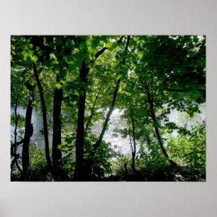 Poster Les arbres au bord de la rivière