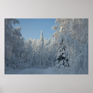 Poster Les arbres couverts de neige