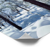 Poster Les arbres couverts de neige dans les Laguna Mount (Coin)