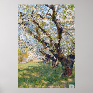 Poster Les arbres d'abricotiers en fleurs de Van Gogh