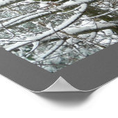 Poster Les arbres dans la neige photo hiver (Coin)