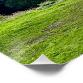 Poster Les arbres d'automne (Coin)