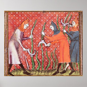 Poster Les arbres de coupe, d'Ovide moralisent