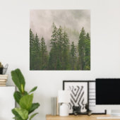 Poster Les arbres de la forêt de Foggy (Bureau à domicile)