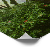 Poster Les arbres de l'érable Couleurs de chute dans le j (Coin)