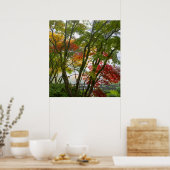 Poster Les arbres de l'érable Couleurs de chute dans le j (Cuisine)