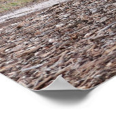 Poster Les arbres de Texas A&M (Coin)