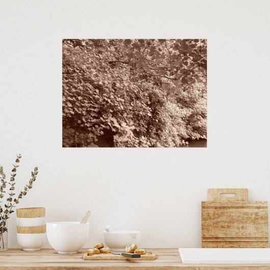 Poster Les arbres devant le canal (Cuisine)