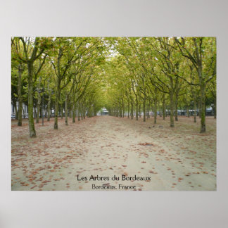 Poster Les Arbres du Bordeaux