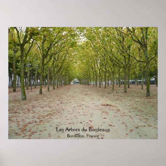 Poster Les Arbres du Bordeaux (Devant)