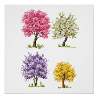 Poster Les arbres en fleurs, couleurs imaginaires.