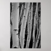 Poster Les arbres ont les yeux (Devant)