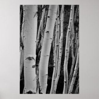 Poster Les arbres ont les yeux