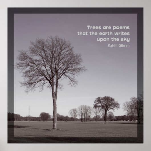 Poster Les arbres sont des poèmes (Devant)