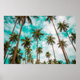 Poster Les arbres tropicaux