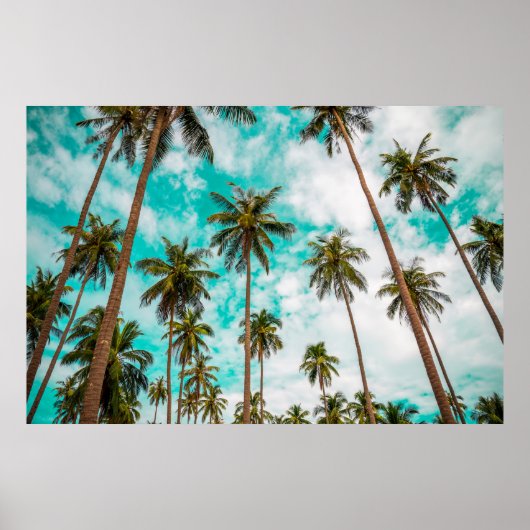 Poster Les arbres tropicaux (Devant)