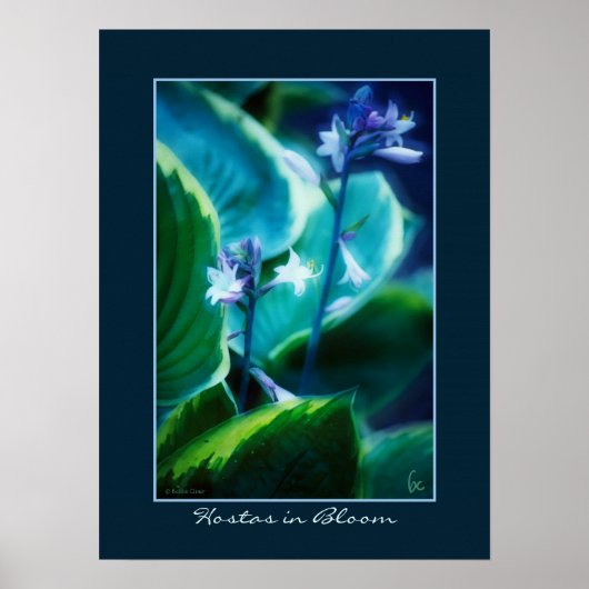 Poster Les auberges en fleurs (Devant)