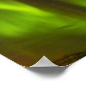 Poster Les aurores boréales | Fairbanks, Alaska (Coin)