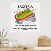 Poster Les bactéries ne peuvent pas vivre avec certaines  (Cuisine)