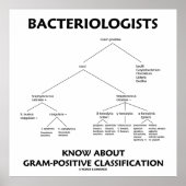 Poster Les bactériologistes connaissent la classification (Devant)